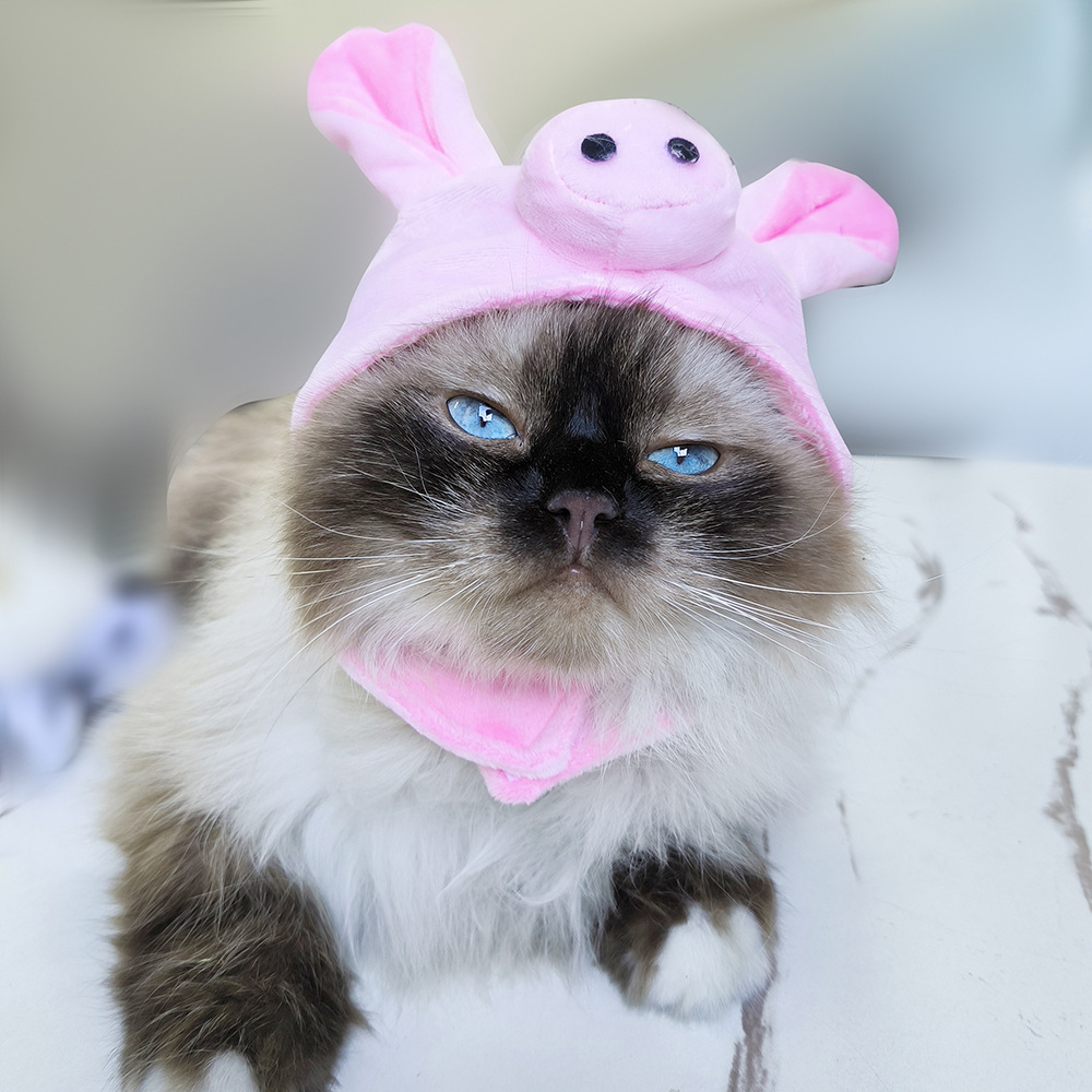 Pig Hat