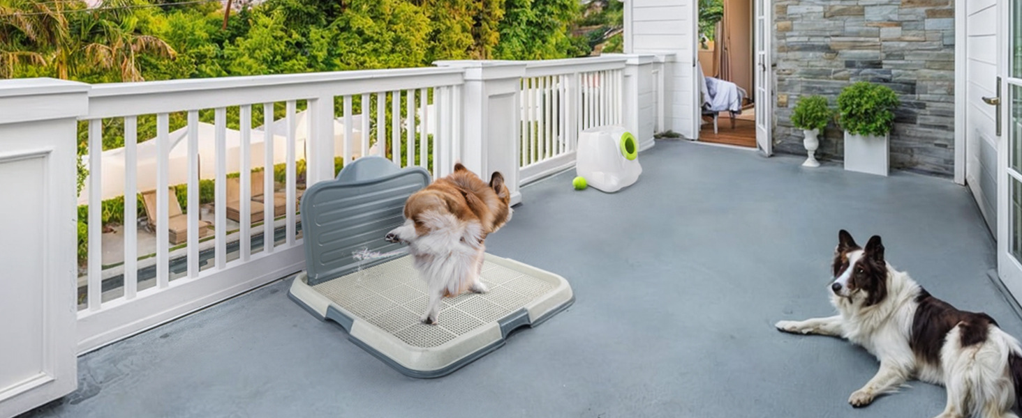 Mesh Dog Potty Training Tray with Wall Mount Clip - Portable Puppy Toilet Pad Holder for Indoor Use detail photo 7