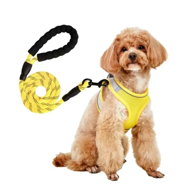 Dog Hand Holding Rope Vest Small Dog Dog Leash Teddy Bichon Breathable Chest Strap Pomeranian Puppy Small Dog Leash Style12 - Shop at LoveMi