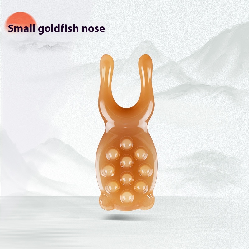 Small Goldfish Noseup