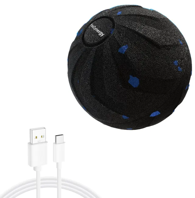Jumping Dog Toy Pet Ball T02 Black - Shop at LoveMi