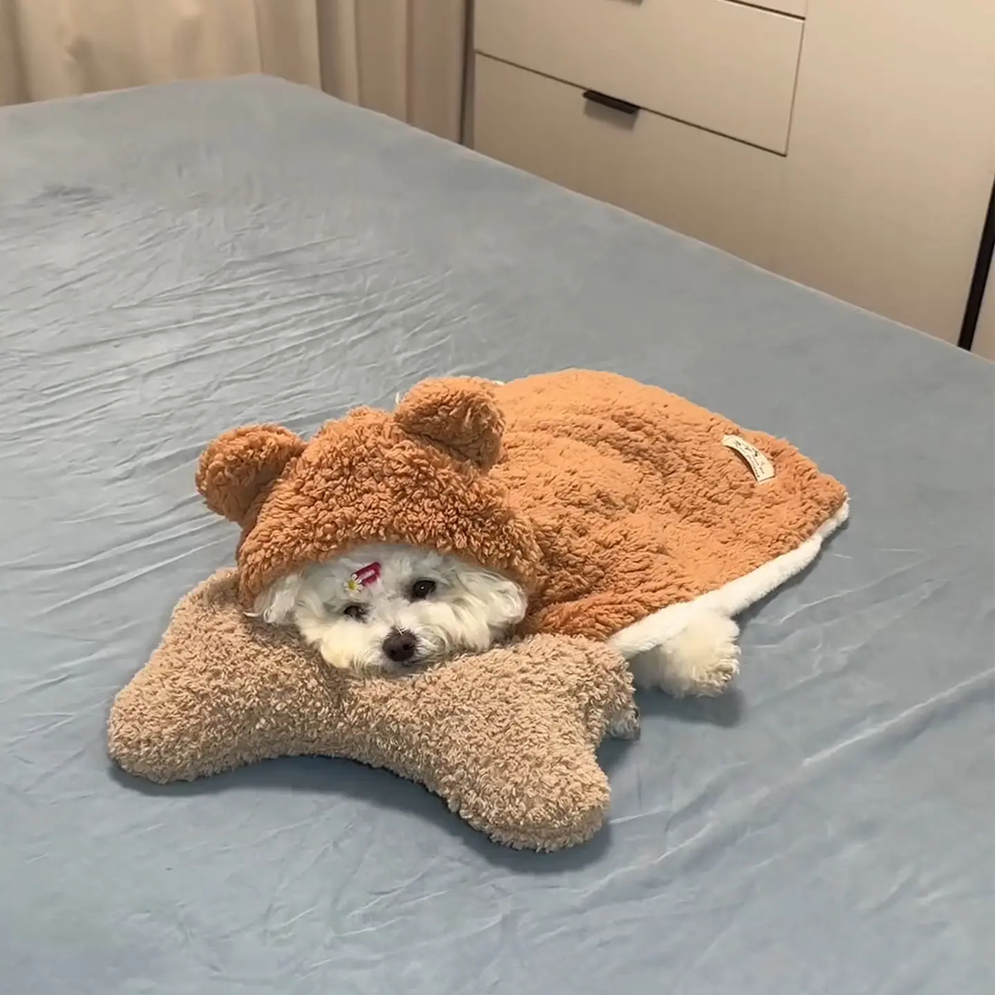 Pet Blanket, Dog Clothing, Winter Wear