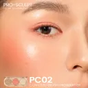Pc02