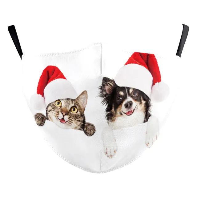 Christmas Snowflake Digital Printing Double layer Dust Mask B178 1145 - Shop at LoveMi