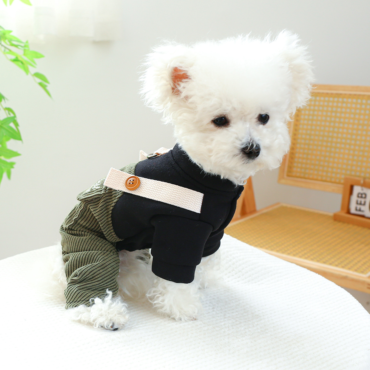 Title 4, Pet Ring Dog Cat Clothes New Corduroy