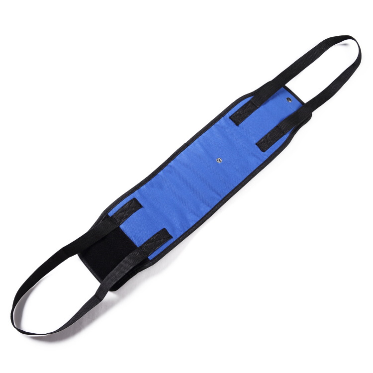 Dog Carrier With Pet-handling Handle And Auxiliary Leash detail photo 13