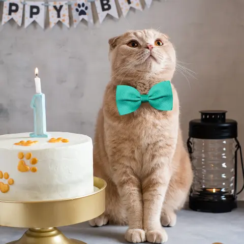 Tie Bow Adjustable Bow Tie for Cats and Dogs