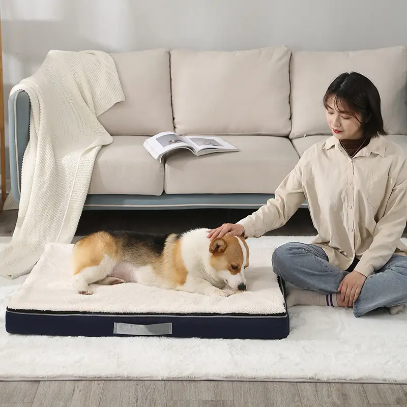 Removable And Washable Memory Sponge Pet Mat