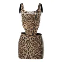 Leopard Color