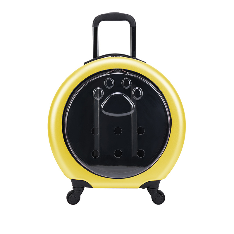 https://cf.cjdropshipping.com/quick/product/23557fb6-0bf1-4633-8cdb-4dafa35ecbf6.jpg