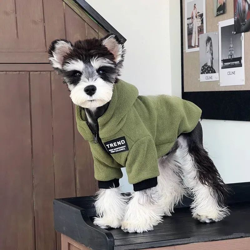 Warm Thickened Fleece-lined Trendy Hoodie For Small Dogs