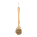 Theaceae Long Handle Brush