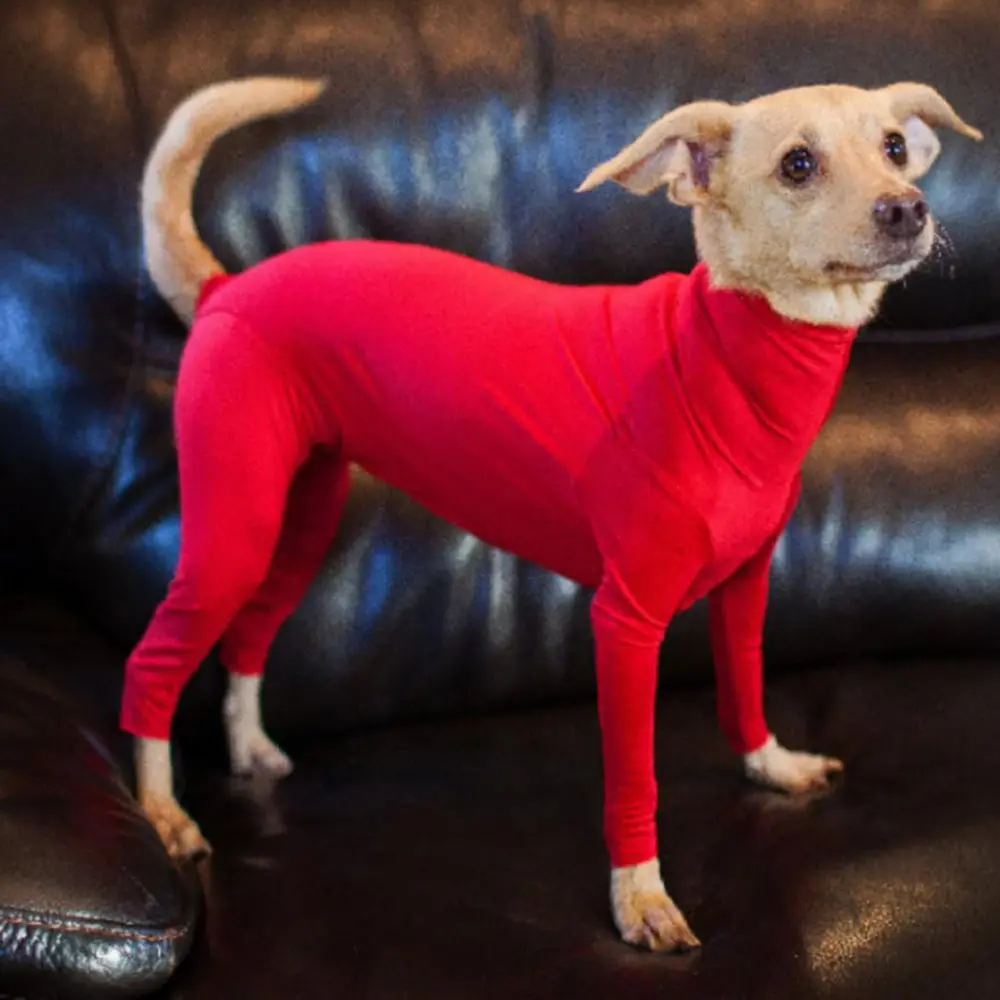 Pet Dog Jumpsuit Medium Large Pajamas Anxiety
