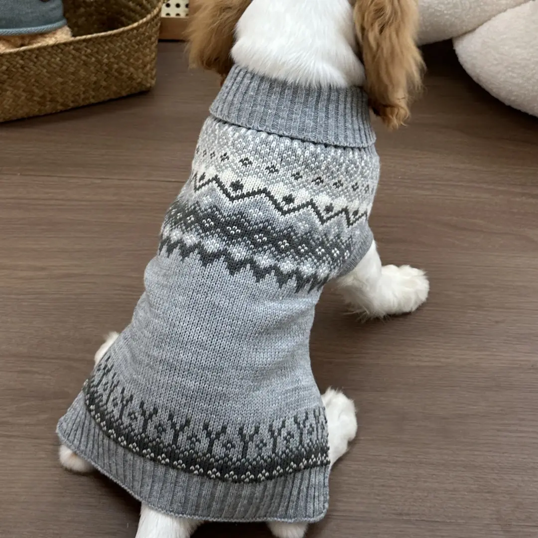 Grey Fair Isle Sweater Little Dog Teddy