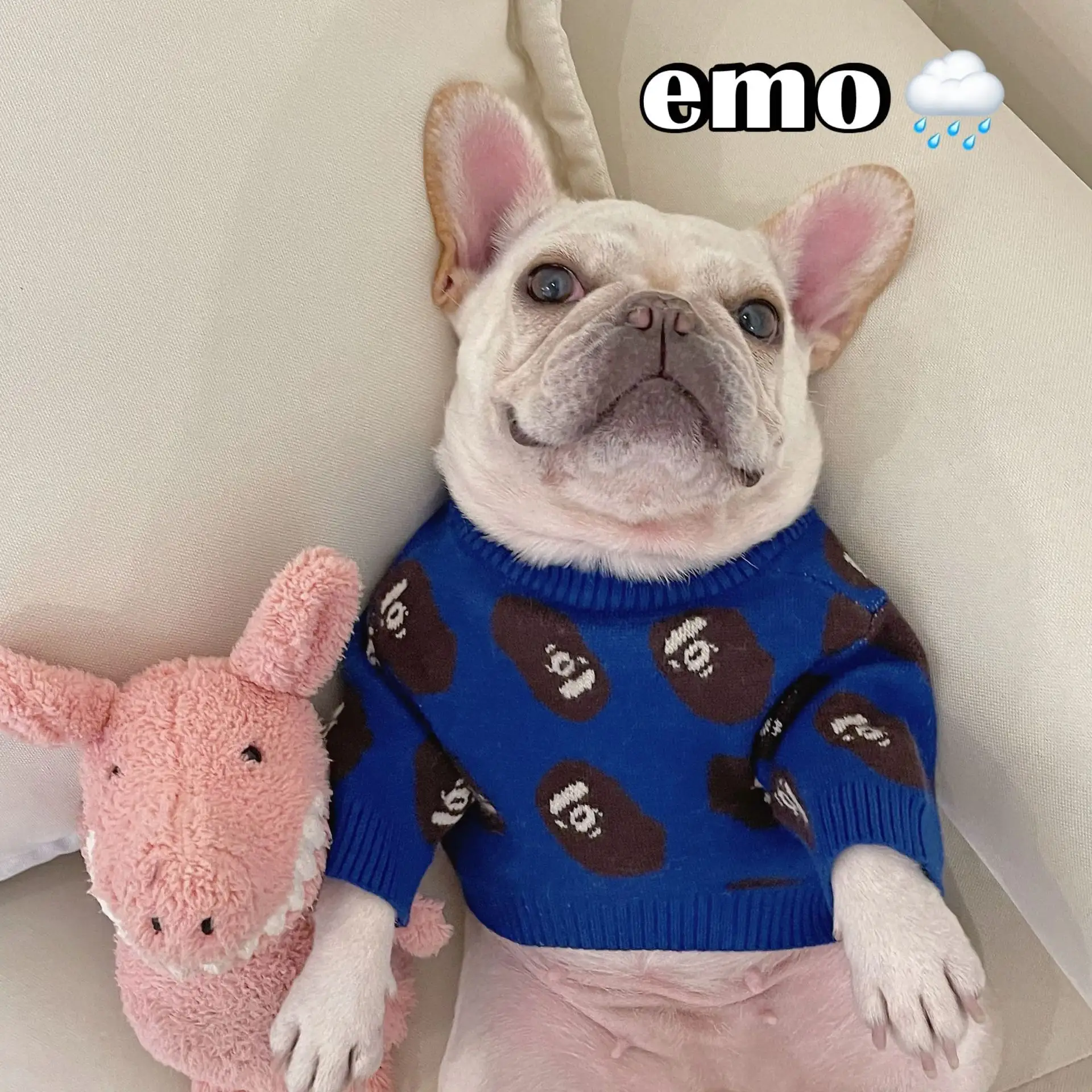 Pet Trendy Brand Popular Clothes Dog Cat