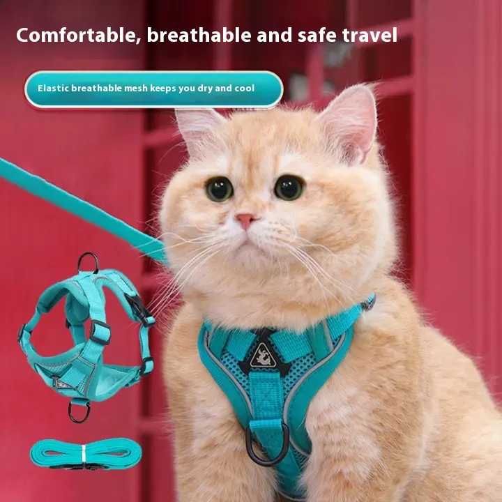 Dog Hand Holding Rope Pet Vest Chest
