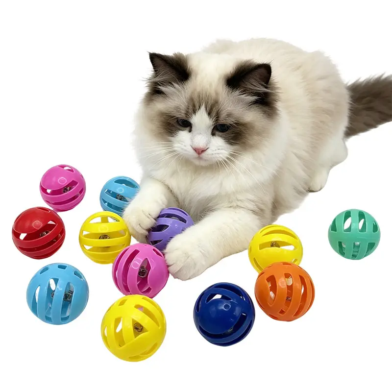 Squeaky Ball Pet Toy