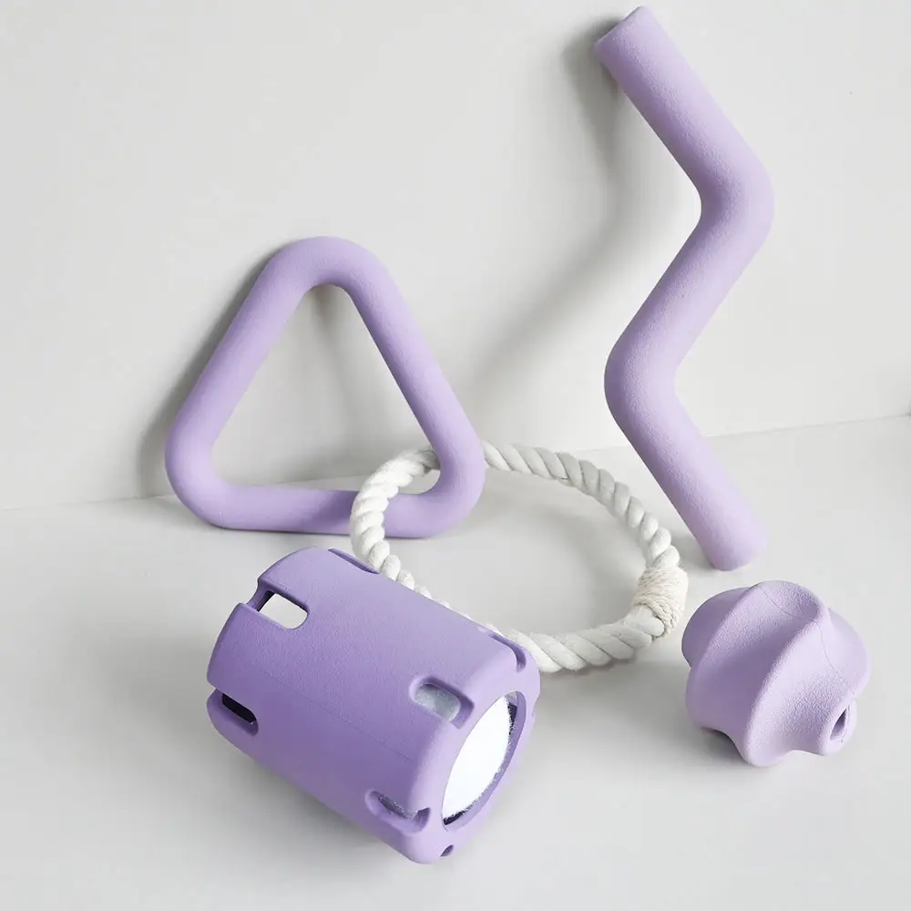 Durable And Chew-Resistant Dog Chew Toy Set