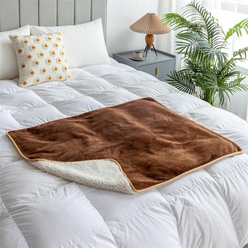 Brown Waterproof Blanket