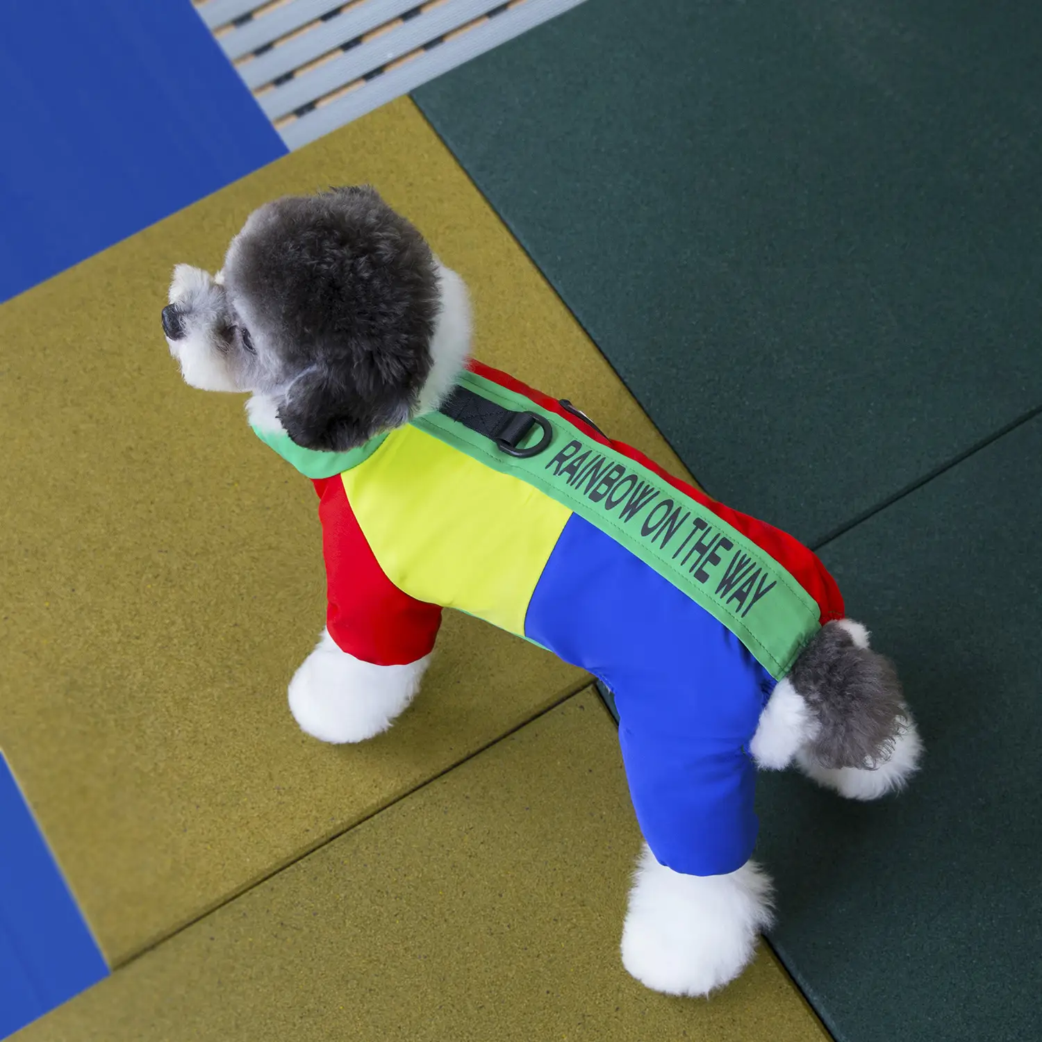 Pet Dog Winter Warm Thickened Four-leg Cotton-padded Clothes