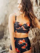 Picture Color-L