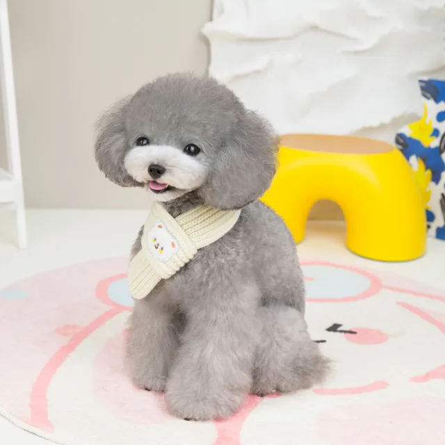 Pet Scarf New Fashion Personality Ivory White - Shop at LoveMi