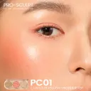 Pc01
