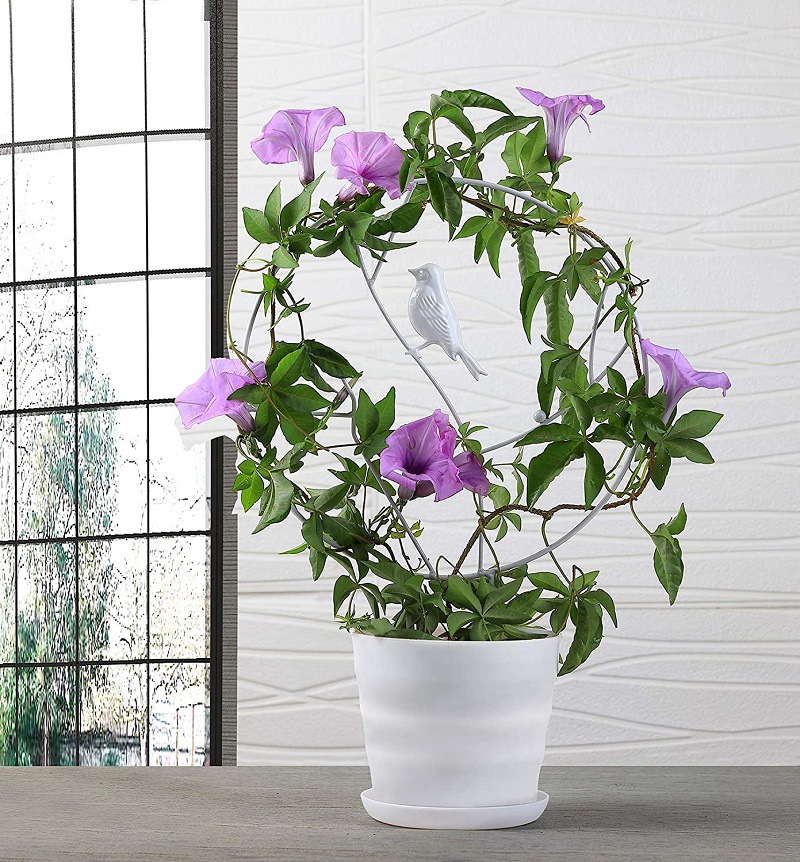 Title 2, Butterfly Bird Stand Creative Vase Climbing Vin...