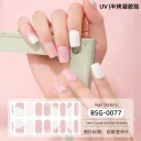 Bsg 0077