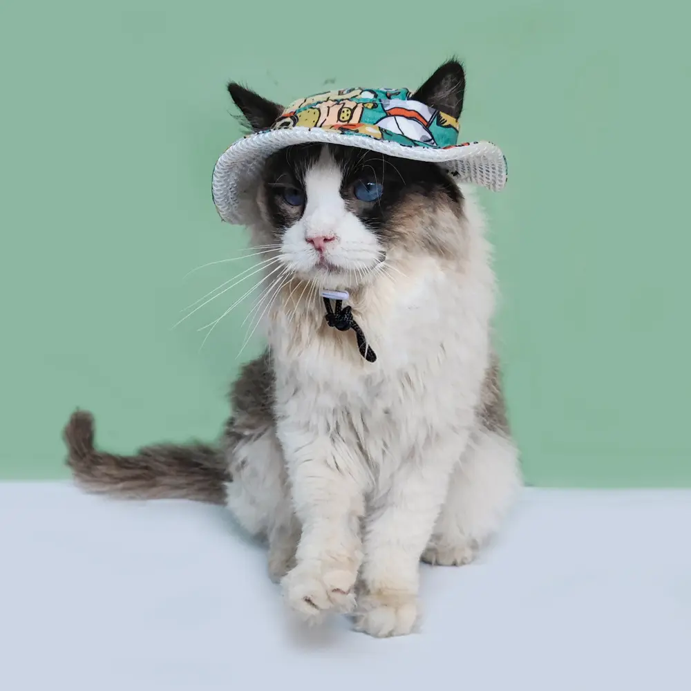 Pet Outdoor Breathable Sun-protection Hat