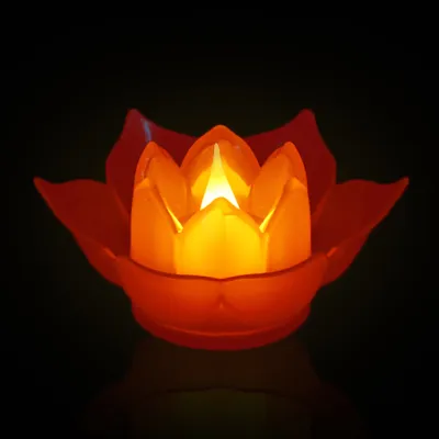 Electronic Plastic Big Lotus With Battery Lamp