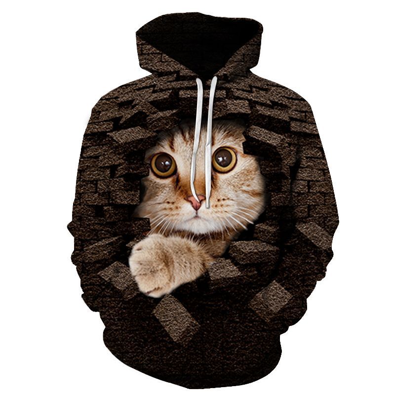 Couples Hoodie With 3D Digital Cat Print