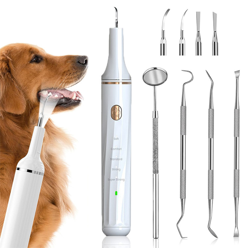 Détartreur dentaire pour chien et chat, appareil à ultrasons