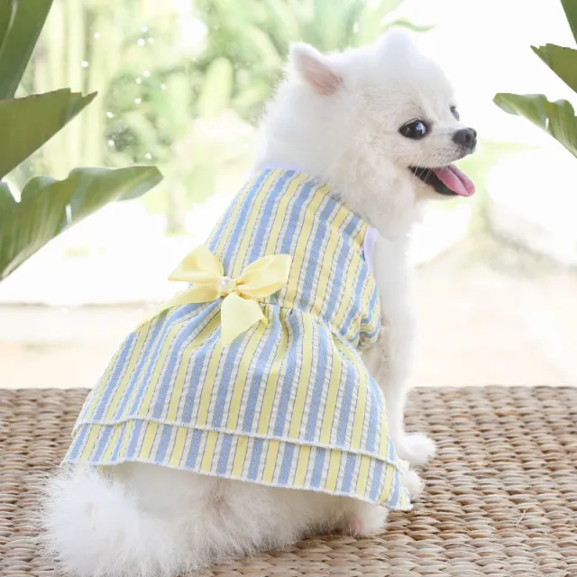 Spring Summer And Autumn New Plaid Pet Cat Clothes Supplies Stripes Yellow Green - Shop at LoveMi