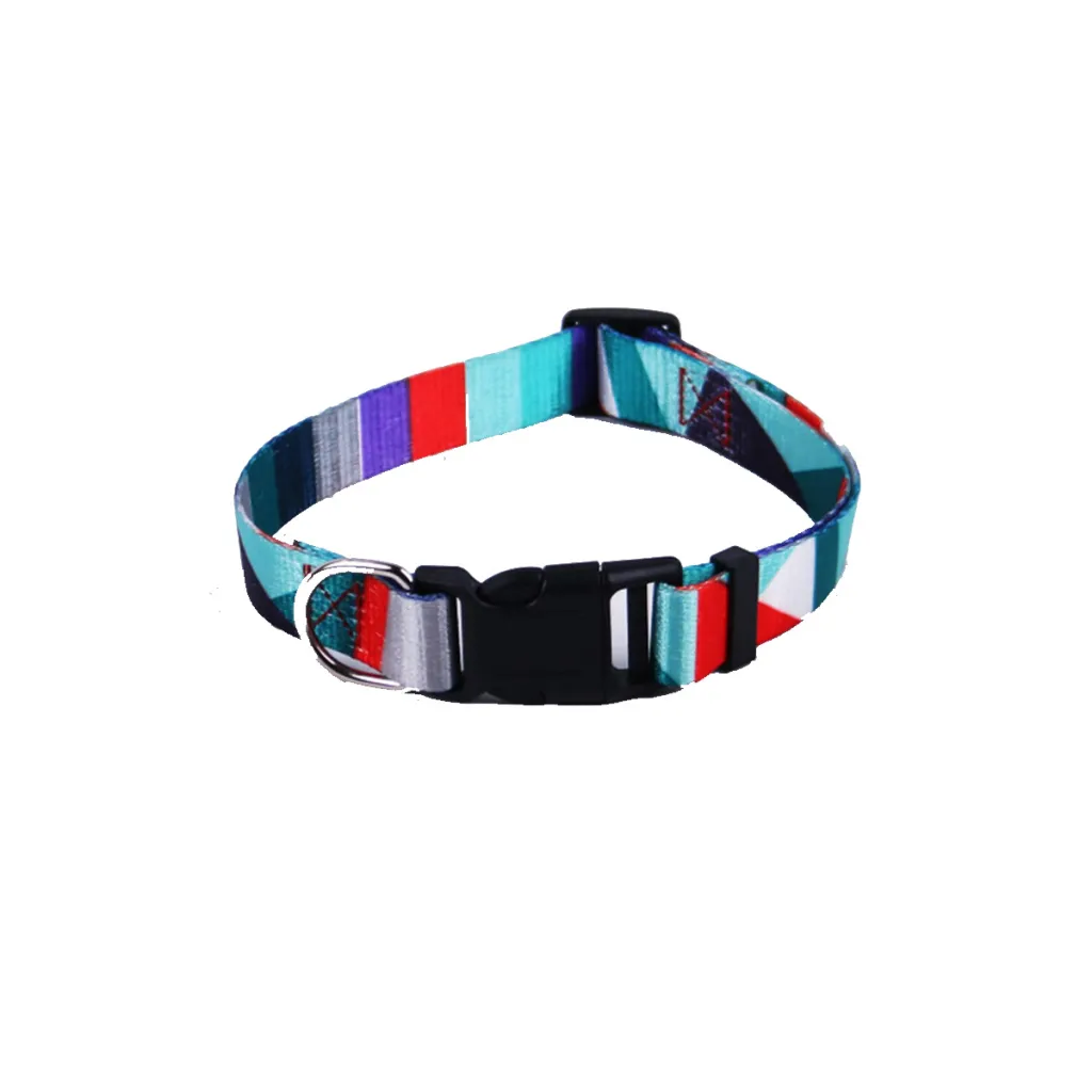Hand Holding Rope Outing Dog Leash Dog Collar Three-piece Set - Blue And Red Single Collar