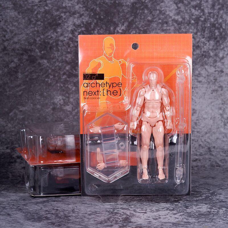 SHF Body Model With Articulated Joints Posable Action
