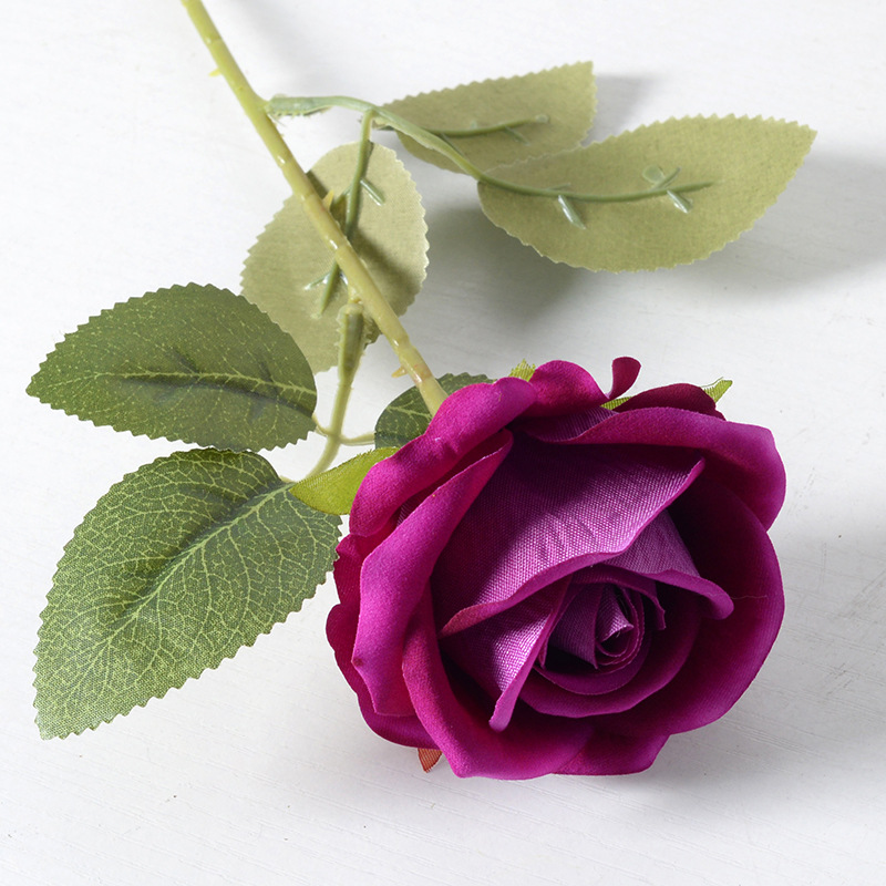 Rose Purple