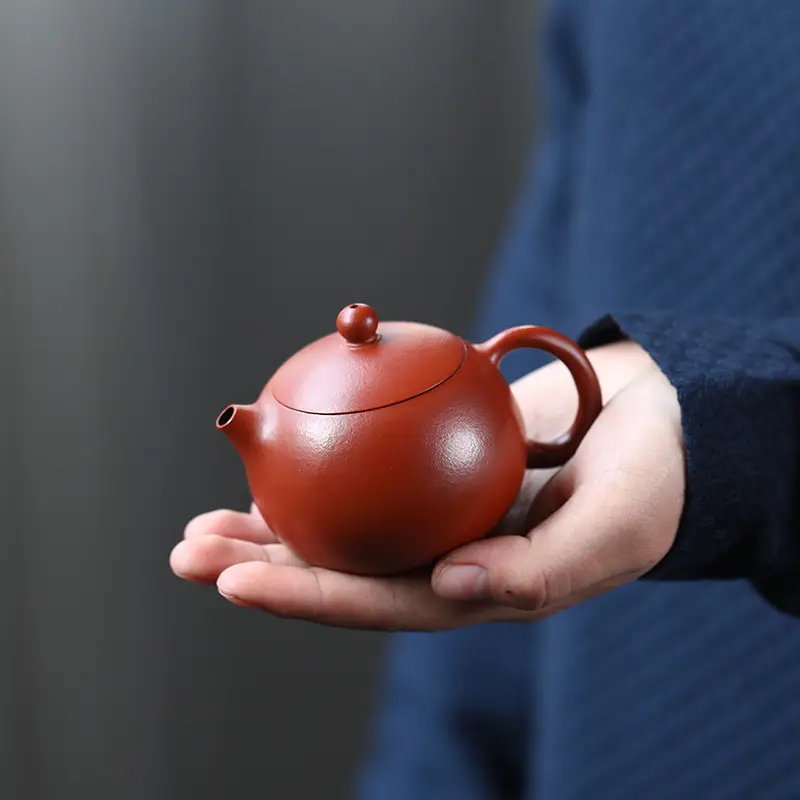 Purple Sand Cinnabar Sand Sketch Small Capacity Kung Fu Tea Set Xi Shi Pot