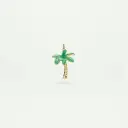 Coconut Tree
