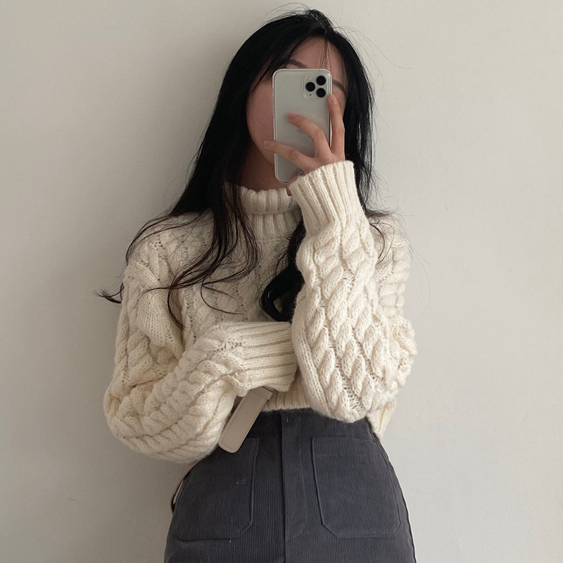 Autumn And Winter Turtleneck Extra Thick Warm Pullover Sweater Retro Twist