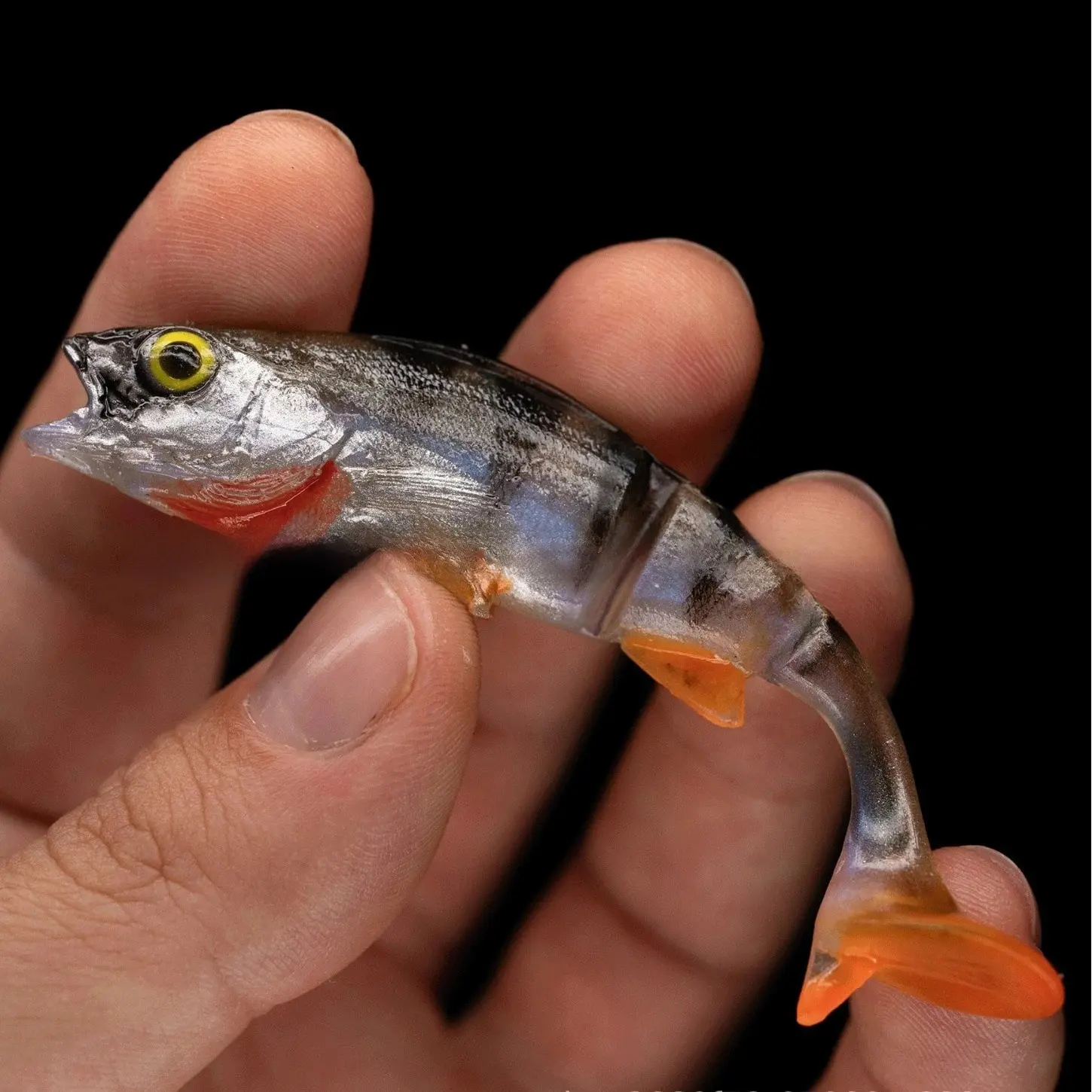 Fish T Tail Catfish Scissors Sea Fishing