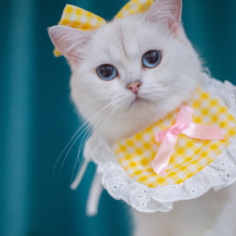 Yellow And White Plaid Suit