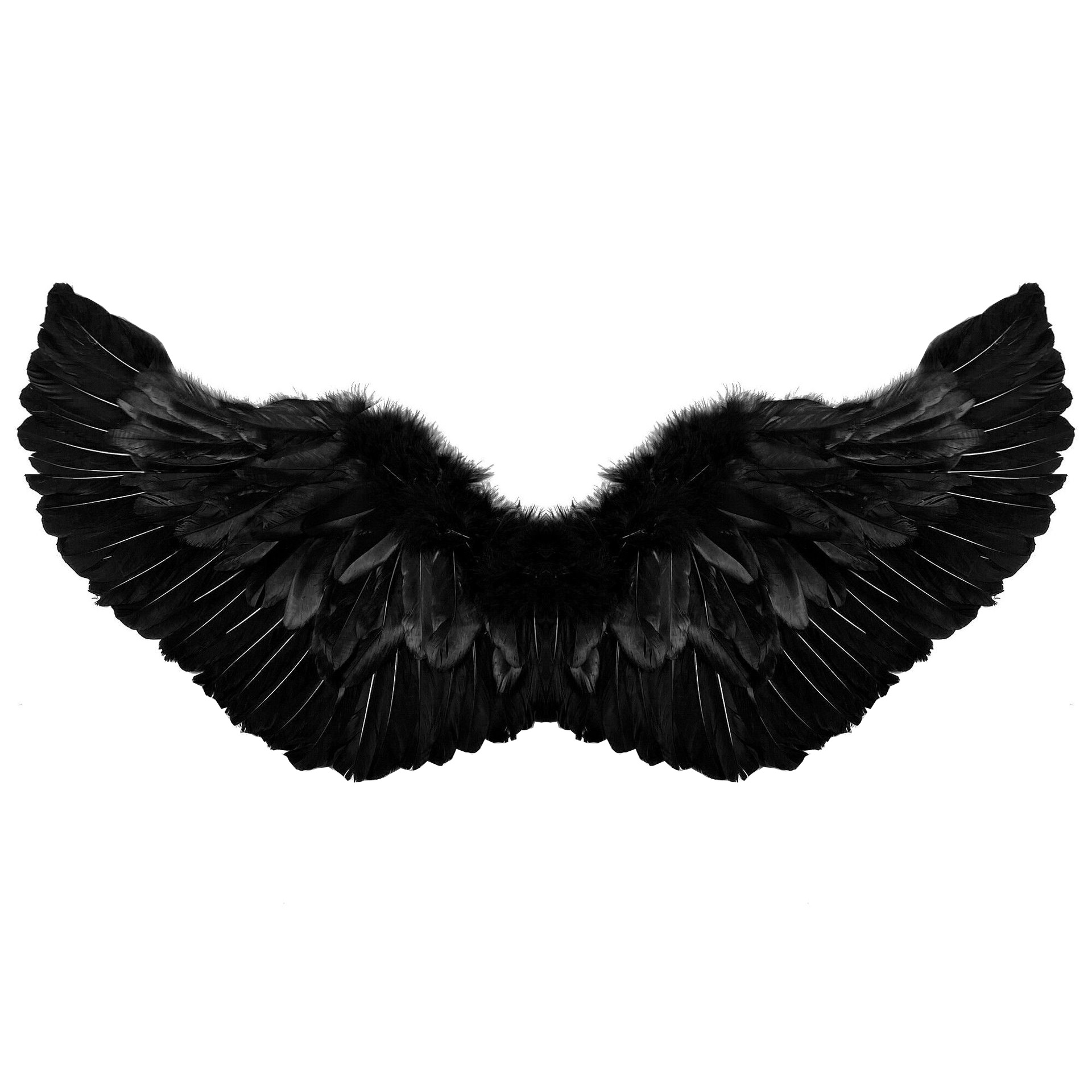 Title 4, Personalized Halloween COSPLAY Angel Wings