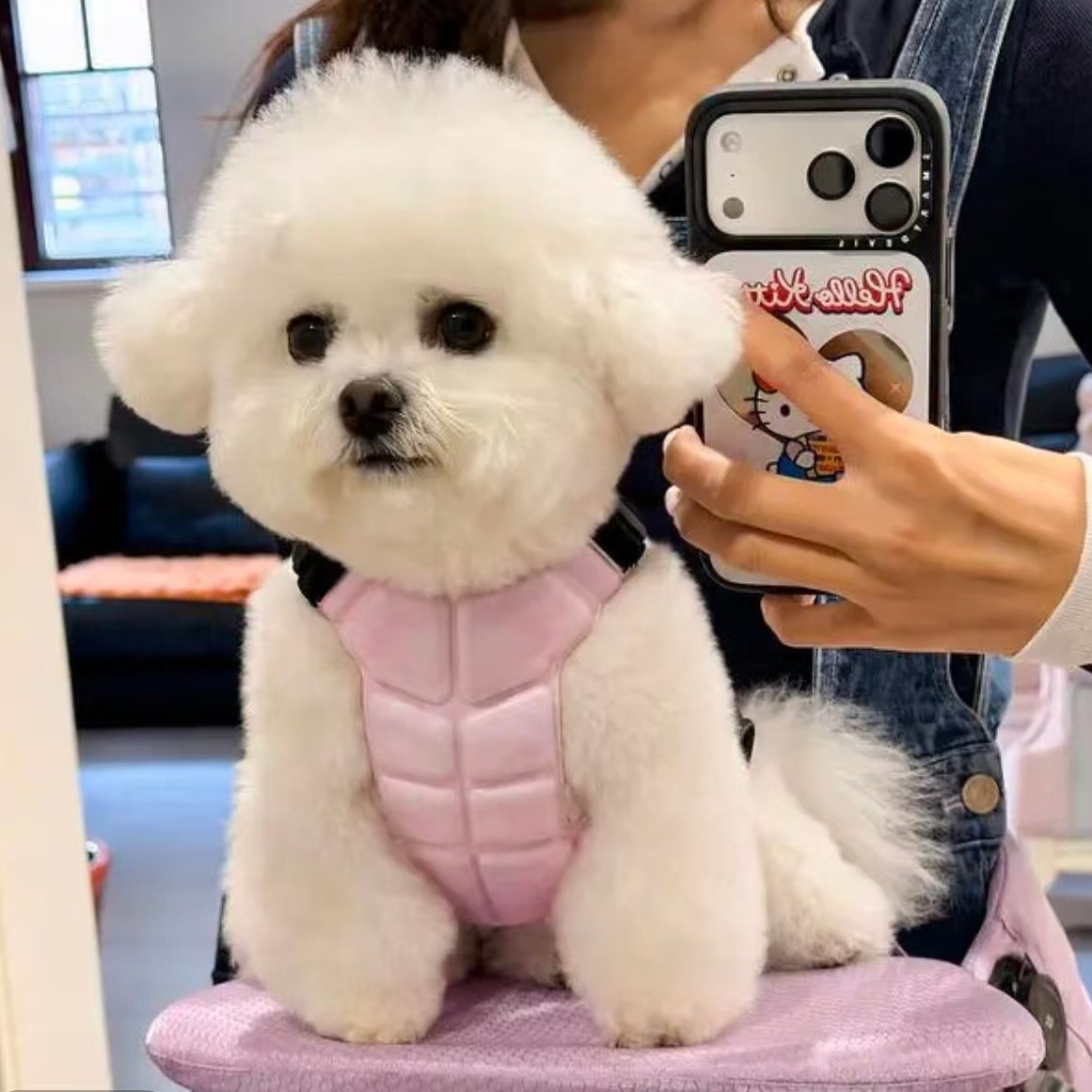 Physical Cooling Phase Change Ice Pad For Dogs — foto 3