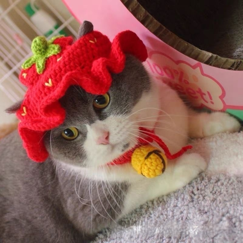 Red Strawberry Hat