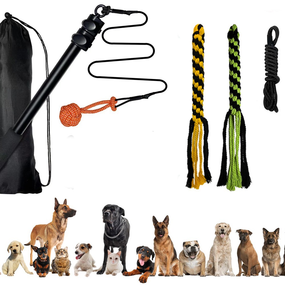https://cf.cjdropshipping.com/quick/product/2877d452-c76a-4d46-b1d4-484879ab81be.jpg
