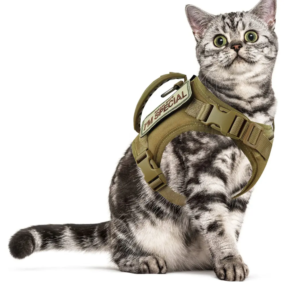 Cat Chest Strap Vest Hand Holding Rope