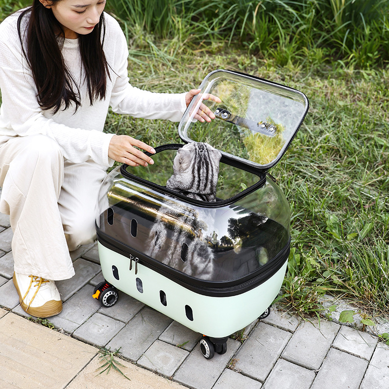 https://cf.cjdropshipping.com/quick/product/29c148c0-9485-45e7-81b7-c2ea652ef2b8.jpg