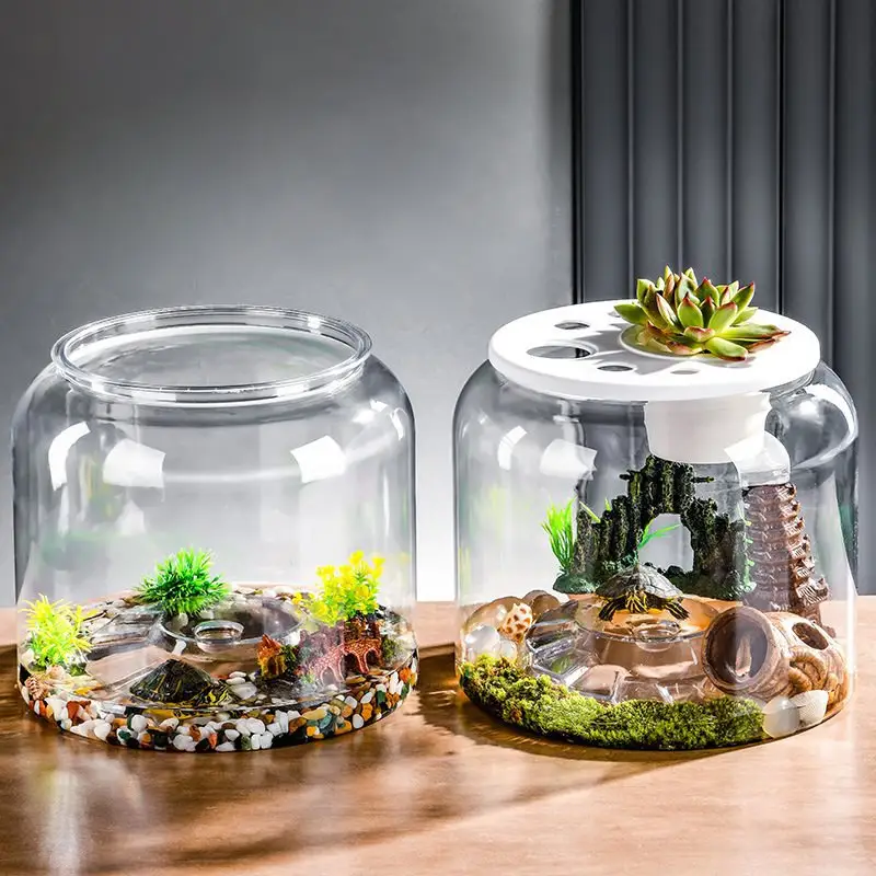 Transparent Plastic Ecological Desktop Landscaping Feeding Fish