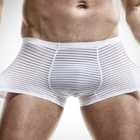 Men's Ice Silk Seamless Boxers Thin Air
